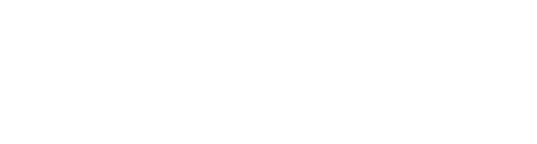 Logo of Emerald Forest Products, inspired by Catalinaville charm, featuring a stylized diamond with a tree silhouette on the left and the company name in bold letters on the right.